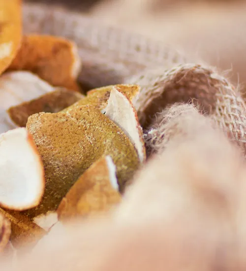 terroir orange dry peels